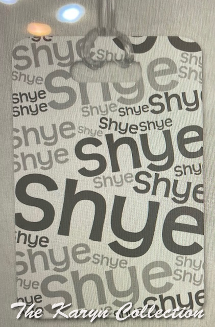 Shye's Luggage Tags .....with his name in shades of GRAY